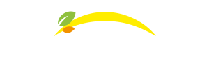 Bonduelle - Retour à l'accueil